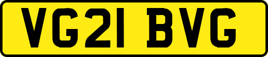 VG21BVG