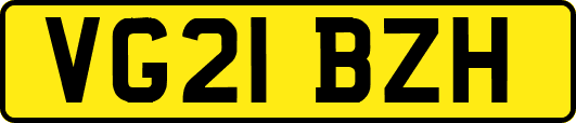 VG21BZH