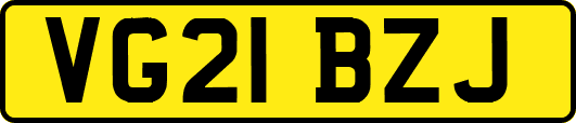 VG21BZJ