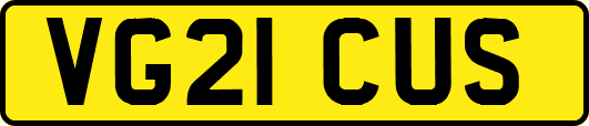 VG21CUS