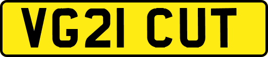 VG21CUT