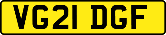 VG21DGF