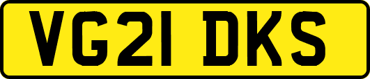 VG21DKS