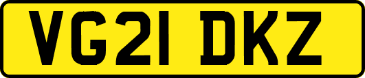 VG21DKZ