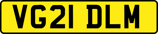 VG21DLM