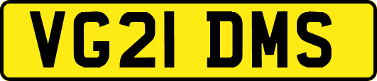 VG21DMS