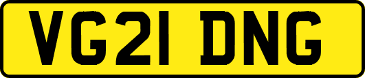 VG21DNG