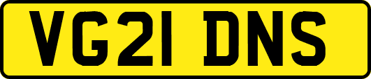 VG21DNS