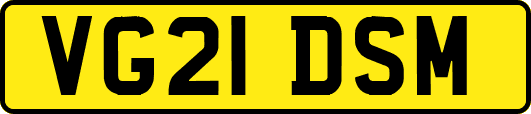 VG21DSM