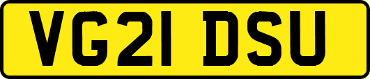VG21DSU
