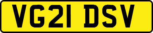 VG21DSV