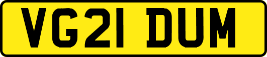 VG21DUM