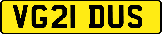 VG21DUS