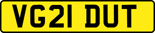 VG21DUT