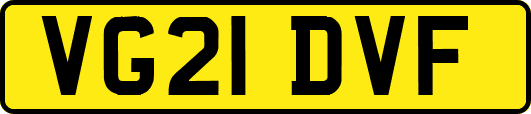 VG21DVF