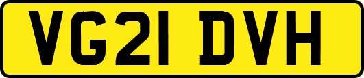 VG21DVH