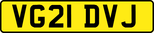 VG21DVJ