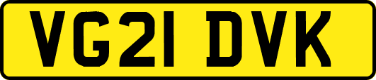 VG21DVK