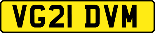 VG21DVM