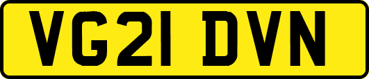 VG21DVN
