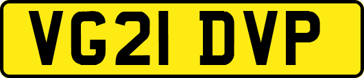 VG21DVP
