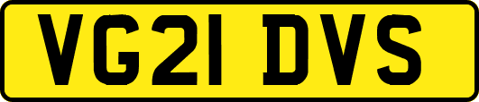 VG21DVS