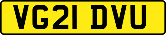 VG21DVU