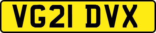 VG21DVX