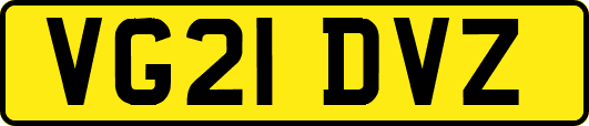 VG21DVZ
