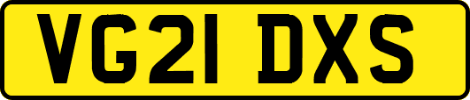 VG21DXS