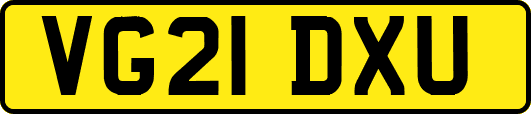 VG21DXU