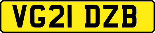 VG21DZB