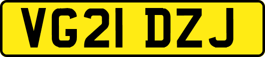 VG21DZJ