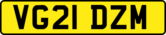 VG21DZM