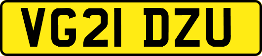 VG21DZU