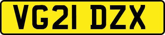 VG21DZX