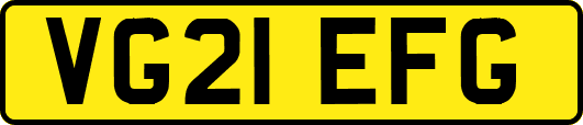 VG21EFG