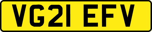 VG21EFV