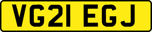VG21EGJ