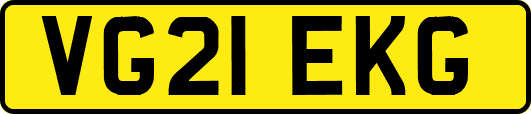 VG21EKG