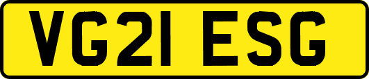VG21ESG