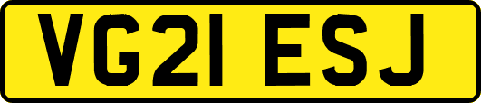 VG21ESJ