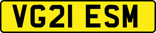 VG21ESM