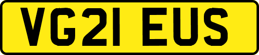 VG21EUS