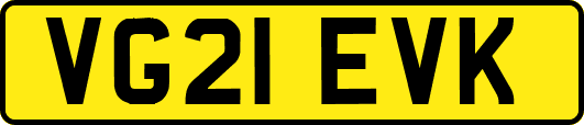 VG21EVK