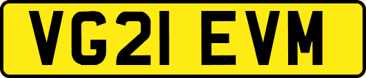 VG21EVM
