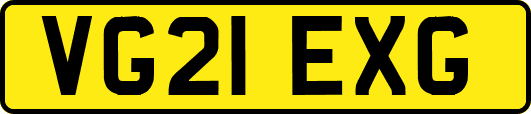 VG21EXG