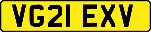 VG21EXV