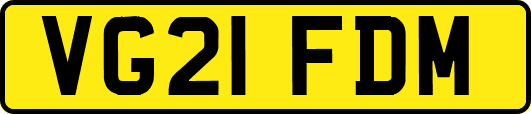 VG21FDM