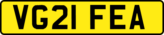 VG21FEA